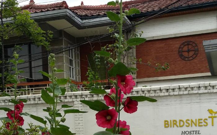 Birdsnest Hostel Hongdae - Foreigners only