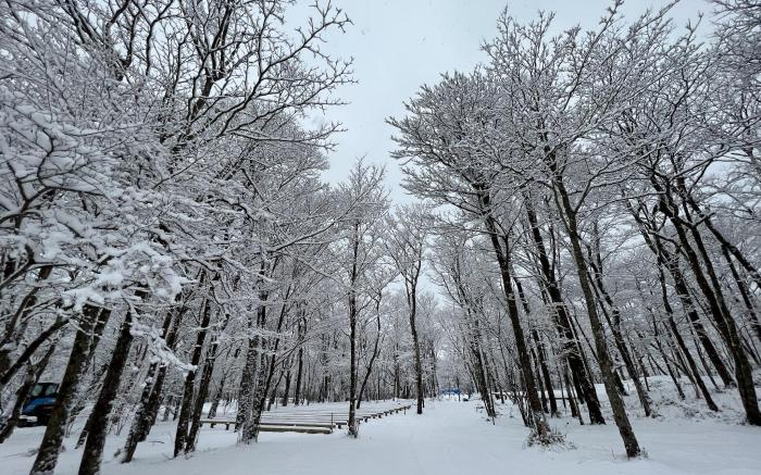 MOSS JURIGI CAMP RESORT