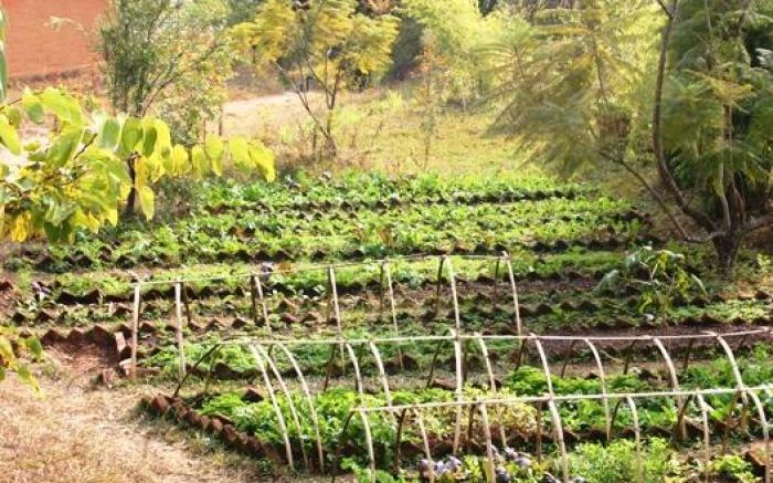 Tiger Mountain Pokhara Lodge