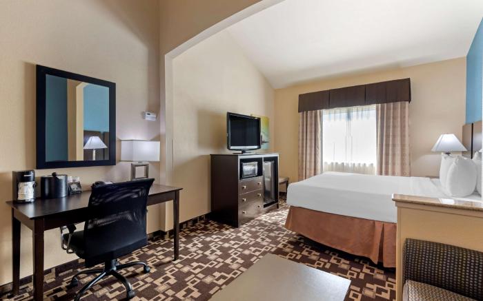 Best Western Plus Arlington North Hotel & Suites