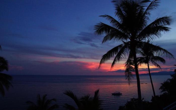 Blue Star Dive Resort