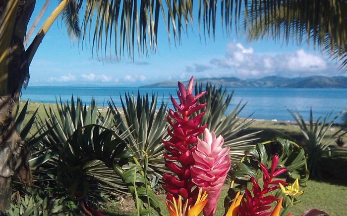 Aroha Taveuni Beachfront Bures