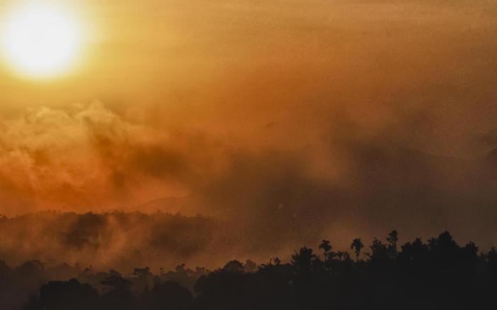 Grassroots Wayanad, Valley-View Tents