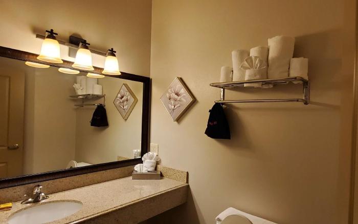 Best Western Plus Emory at Lake Fork Inn & Suites
