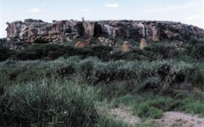 Mopane Bush Lodge