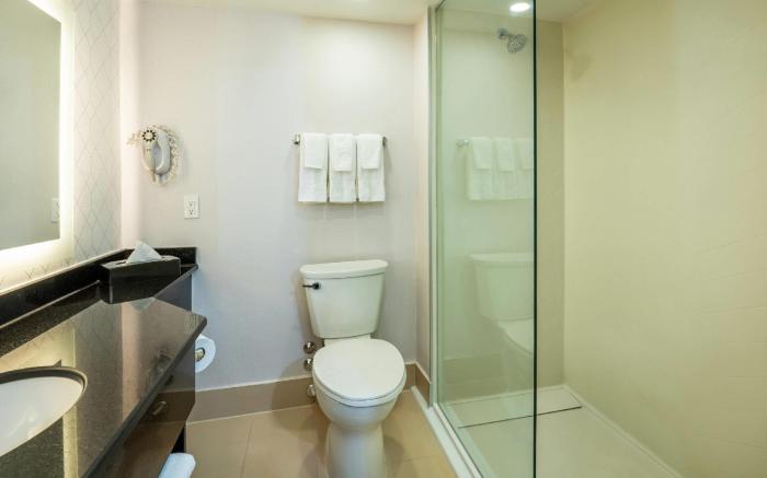 Comfort Inn & Conference Centre Toronto Airport