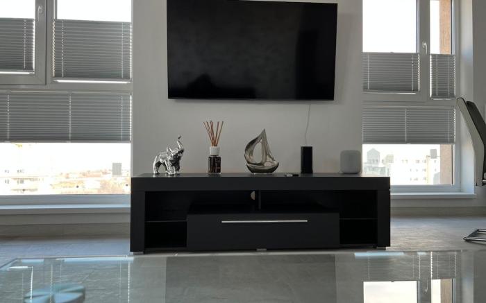 Stunning 3-Room Penthouse Lakeview with Terrace