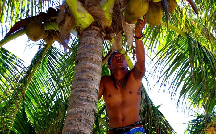 Maravu Taveuni Lodge