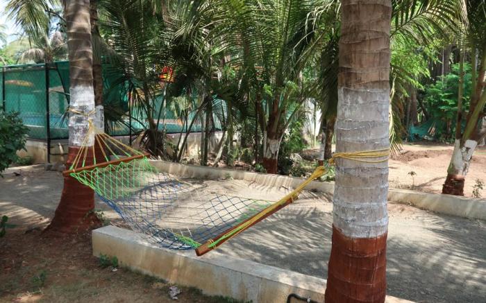 Raj Resort