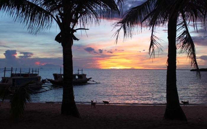 Feliness Resort