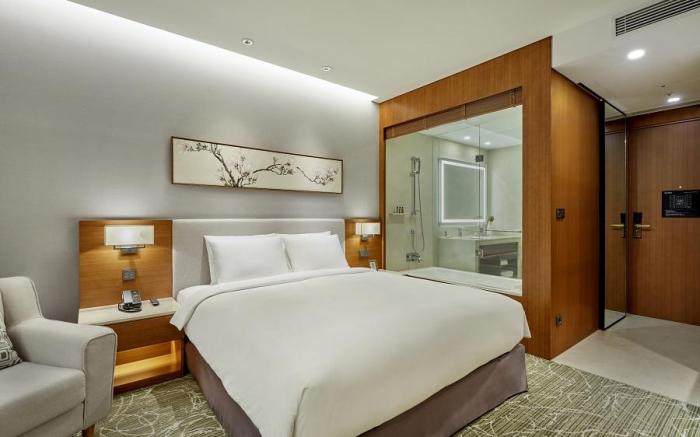 HOTEL SKYPARK CENTRAL SEOUL PANGYO 