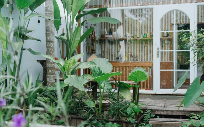 Nhà của Ngỗng - Goose home