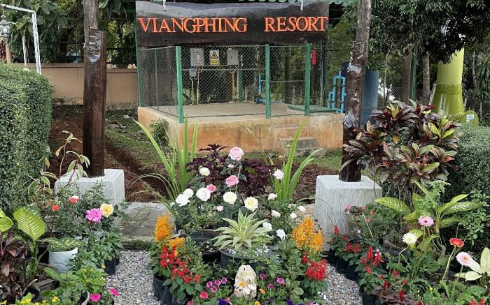 ViangPhing Resort