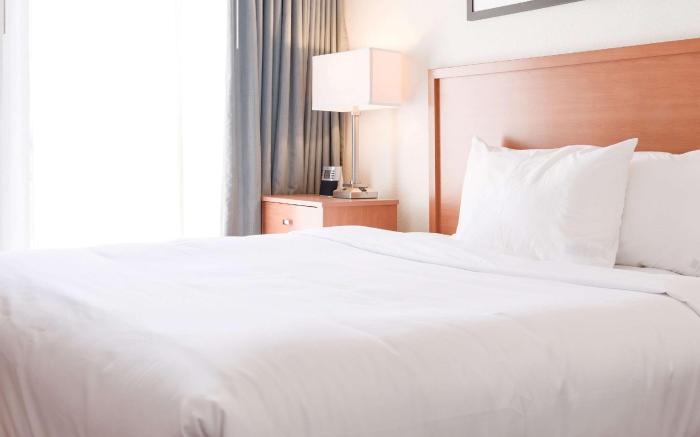 Comfort Suites Baton Rouge South I-10