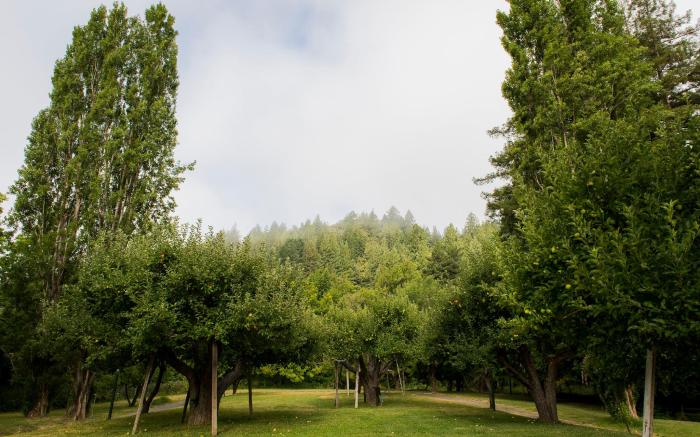 Dawn Ranch Lodge