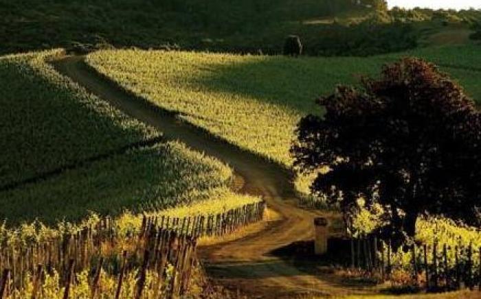 Rosewood Castiglion del Bosco