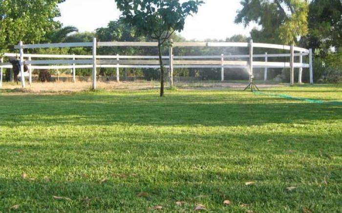 Masseria L'Uliveto Agri Resort