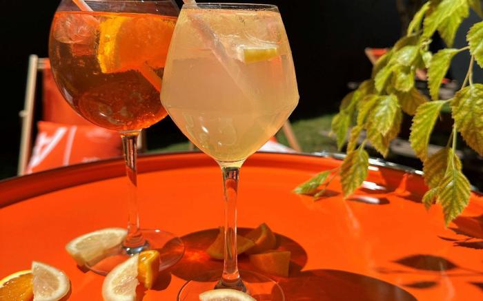 ibis Lyon Sud Oullins