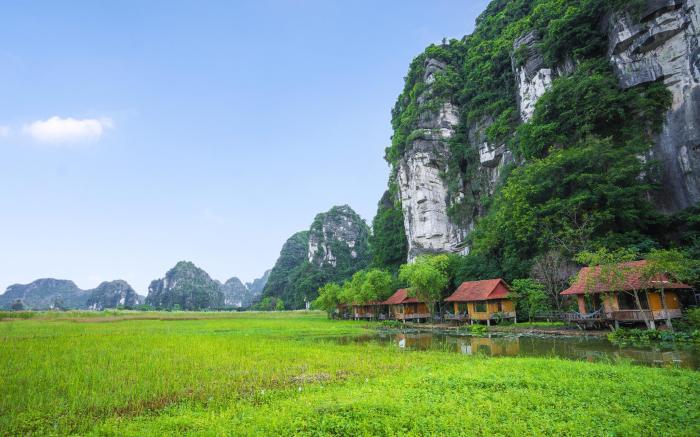 Lotus Field Homestay