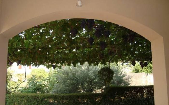 B&B Esperanca