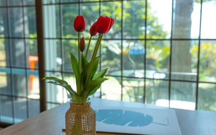 seogwipo jaejuari pension