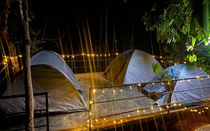 Camping In View of Chempra peak At Beautiful Sport