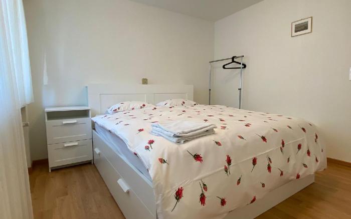 Entire Guest House in Center of Basel