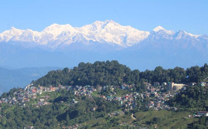 Norbu Thungkar Homestay 