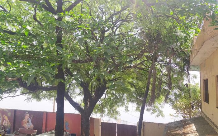 ISKCON Prayagraj Guest House