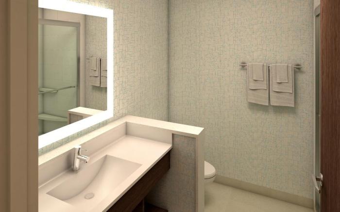 Holiday Inn Express Auburn Hills South