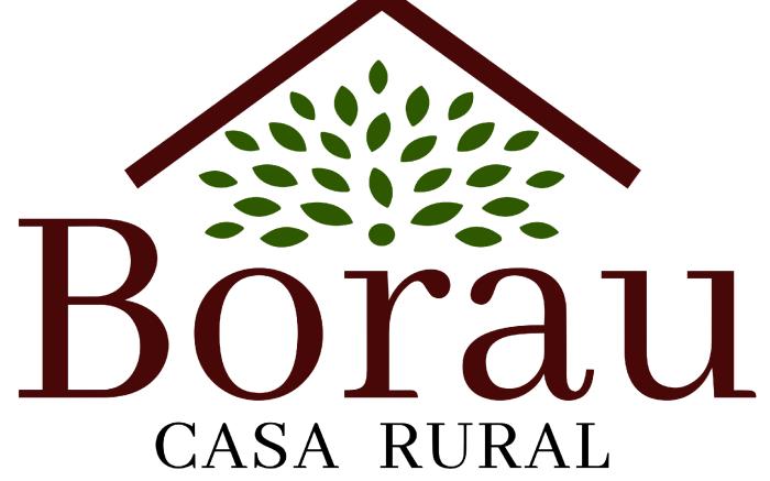 Casa Rural Borau