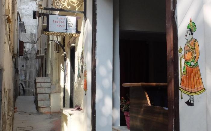 Little Peepal House