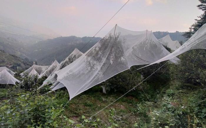 Stay With Vashisht| Serene Homely Stay at Fagu