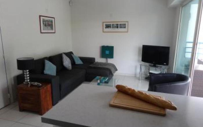 Modern one bedroomed apartment just off the Cannes Seafront with a terrace and pool access - 1753