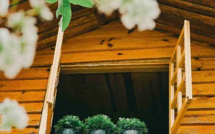 Simplewoods Homestay in Da Lat