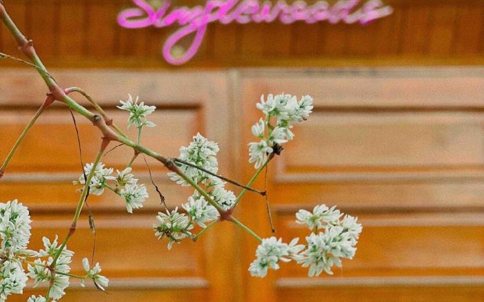 Simplewoods Homestay in Da Lat