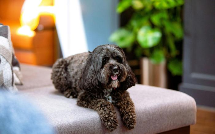 The Union Club Hotel at Purdue University, Autograph Collection