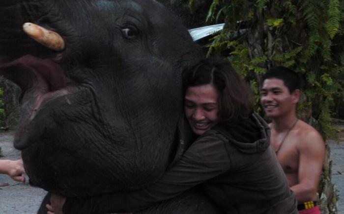 Wood Bungalow - Terrace - Forest View - Toilet