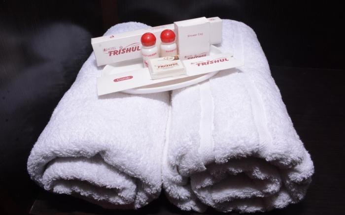 Hotel Trishul Haridwar