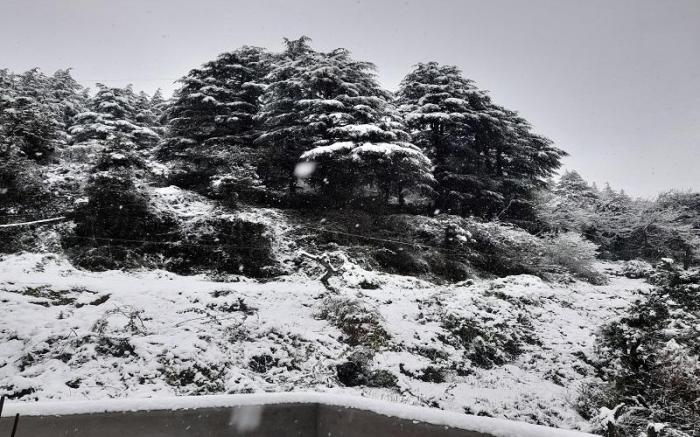 Jupiter B&B (Haven Home) Shoghi