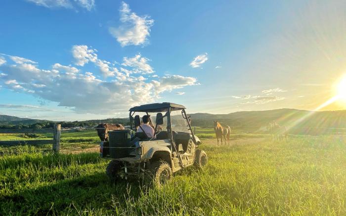 Kur- Cow Farm 35 minutes from Cairns CBD