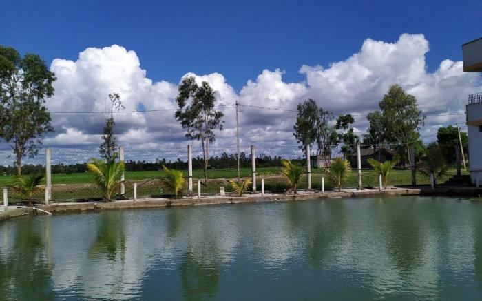SDD ROYAL BENGAL RESORT 
