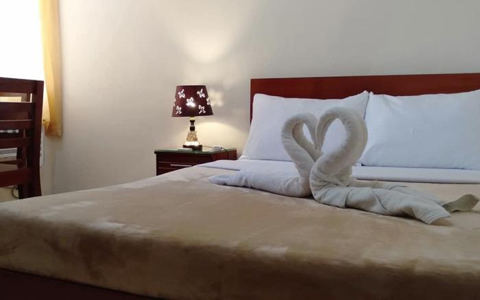 Drew Hostel