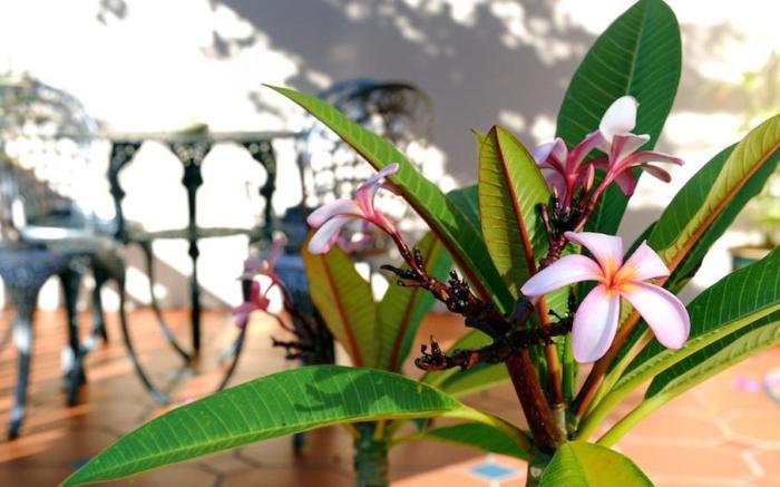 Bayside Guesthouse