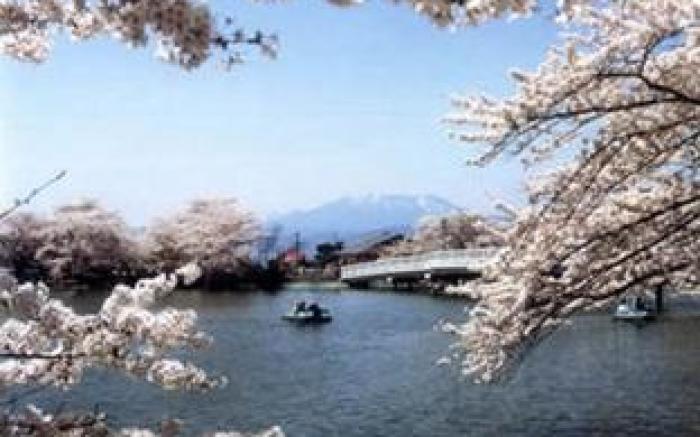 Nozawa Onsen Kawaichiya Ryokan