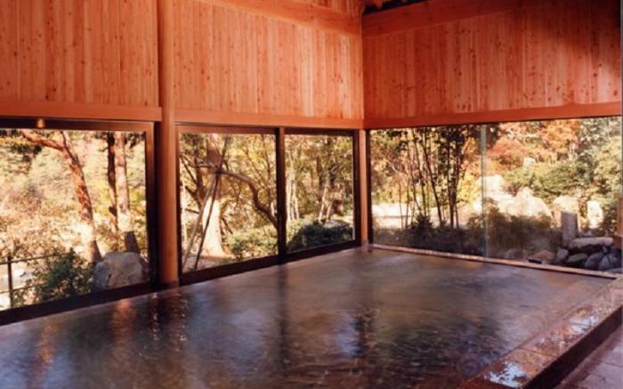Kinugawa Onsen Hana no Yado Matsuya Ryokan