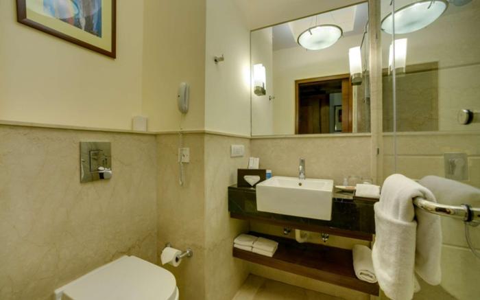 The Muse Sarovar Portico Nehru Place Delhi