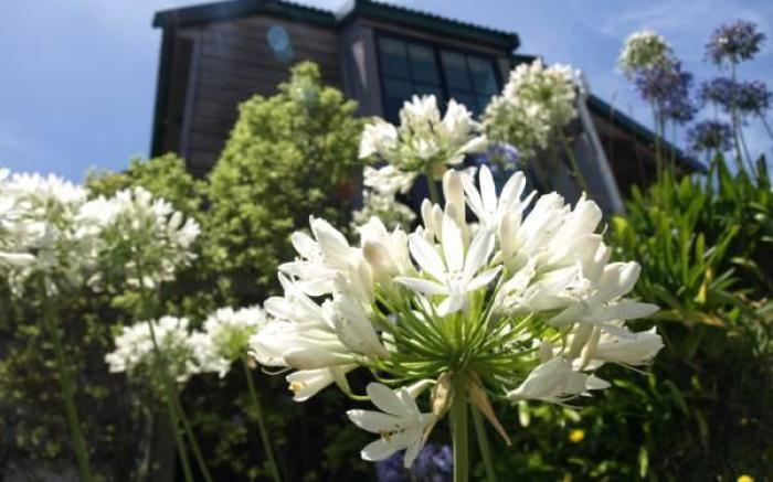 Grafton Cottage & Chalets