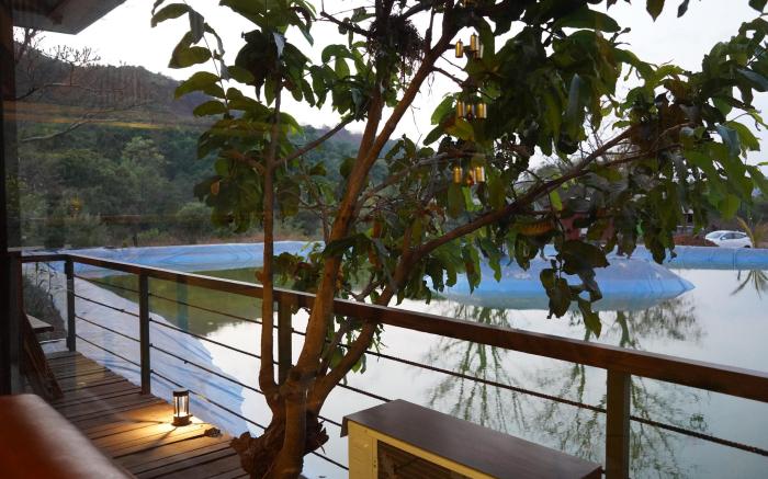 The Arboreal Resort