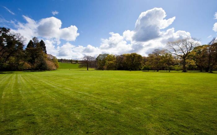 Carberry Tower Mansion House and Estate